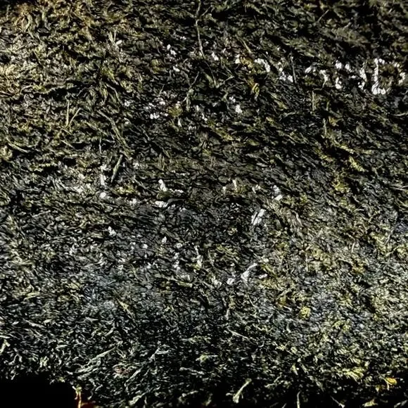 Dr. Martens Black Leather 8 Eye Boots Men’s Size 12 Broken In Grunge Streetwear - Picture 6 of 11